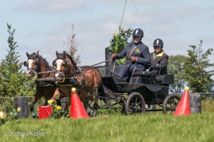 dressuur en vaardigheid  nienoord 10-8-2015  joshua keller-0460       